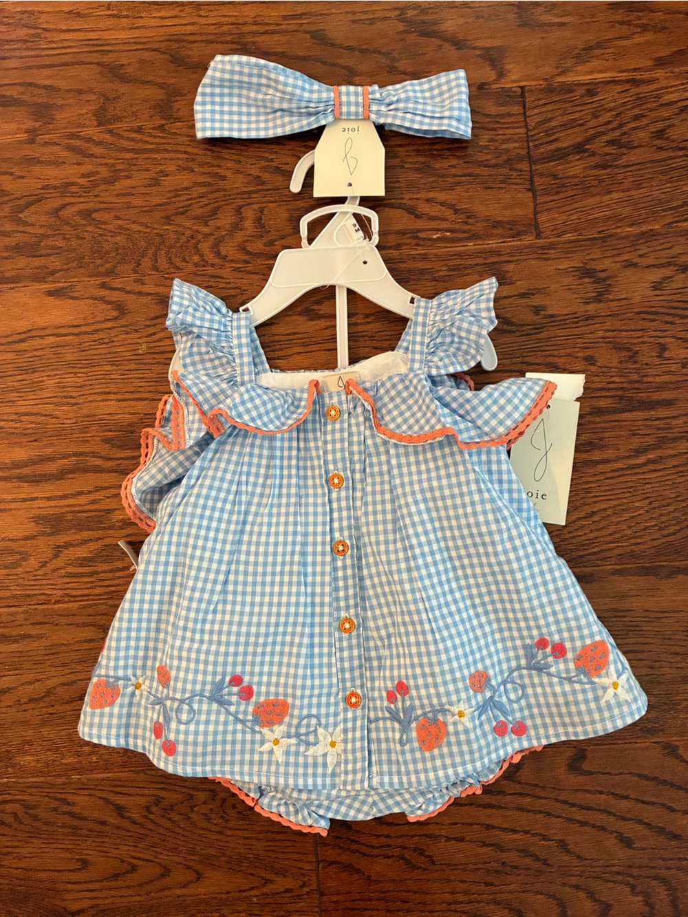 Joie Blue Gingham Sundress with Coral Trim & Embroidered Berries